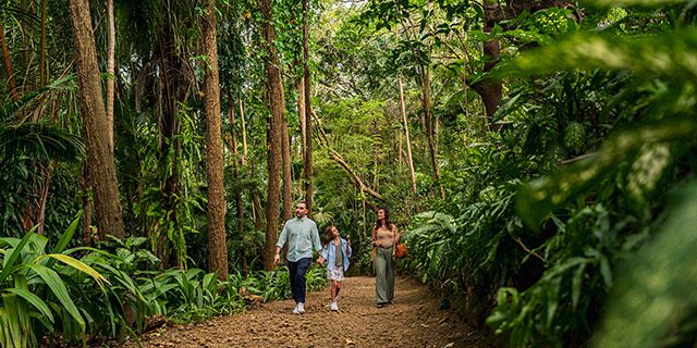 Crocodile giant tortoises park nature reserve (25)
